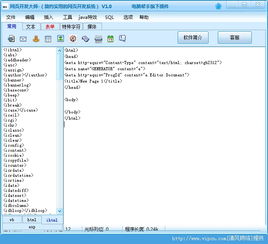 網(wǎng)頁開發(fā)大師 官方版下載與綠色版體驗(yàn)指南