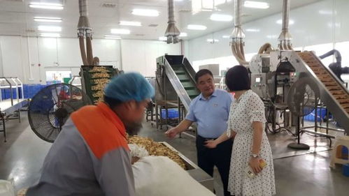 湘西國家農科園赴寧鄉國家農業科技園區考察學習，共謀農業高質量發展與信息技術咨詢服務創新